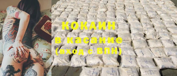 ПСИЛОЦИБИНОВЫЕ ГРИБЫ Верхний Тагил