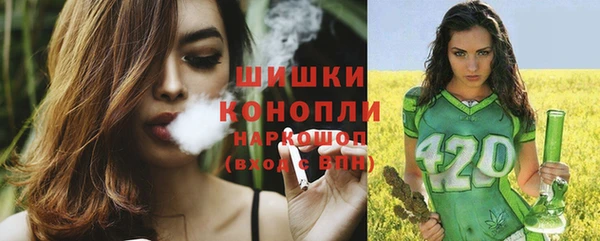 ПСИЛОЦИБИНОВЫЕ ГРИБЫ Верхний Тагил
