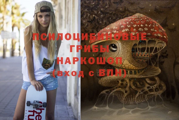ПСИЛОЦИБИНОВЫЕ ГРИБЫ Верхний Тагил